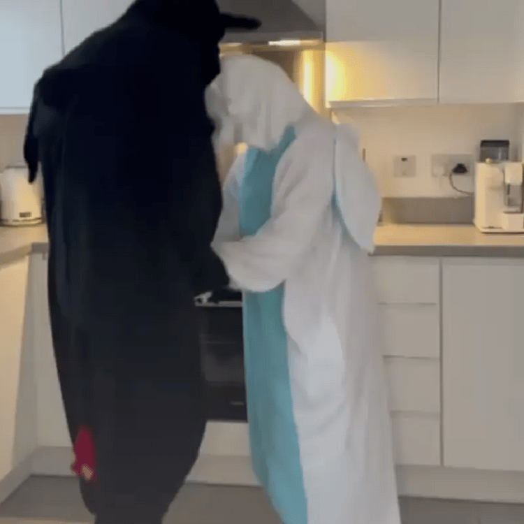 Dragon Onesie